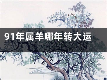91年属羊哪年转大运