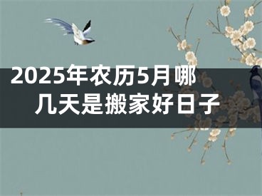 2025年农历5月哪几天是搬家好日子