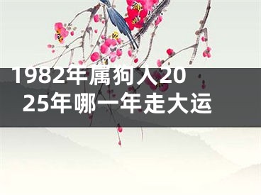 1982年属狗人2025年哪一年走大运