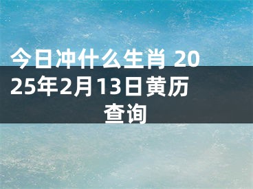 今日冲什么生肖 2025年2月13日黄历查询