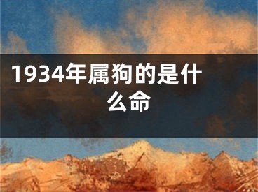 1934年属狗的是什么命
