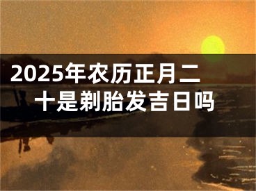 2025年农历正月二十是剃胎发吉日吗