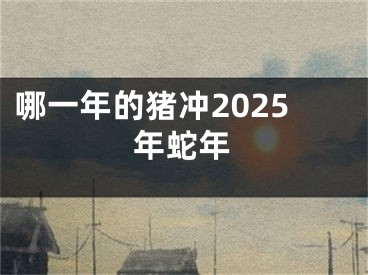 哪一年的猪冲2025年蛇年