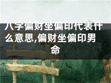 八字偏财坐偏印代表什么意思,偏财坐偏印男命