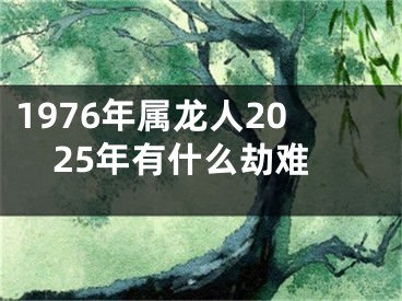 1976年属龙人2025年有什么劫难