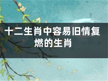 十二生肖中容易旧情复燃的生肖