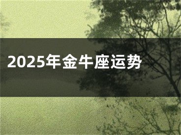 2025年金牛座运势