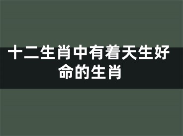十二生肖中有着天生好命的生肖