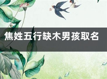 焦姓五行缺木男孩取名