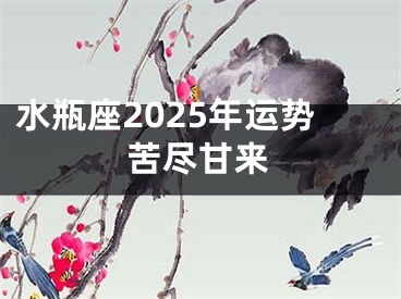 水瓶座2025年运势苦尽甘来
