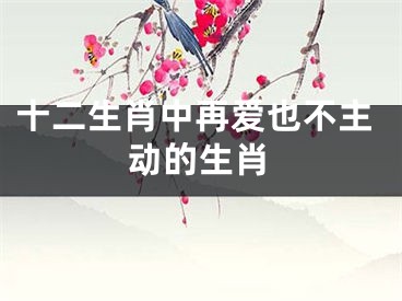 十二生肖中再爱也不主动的生肖