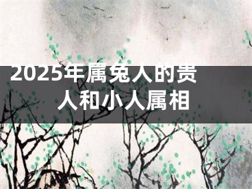 2025年属兔人的贵人和小人属相