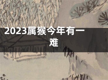 2023属猴今年有一难