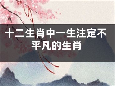 十二生肖中一生注定不平凡的生肖