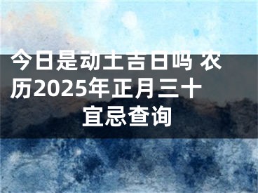 今日是动土吉日吗 农历2025年正月三十宜忌查询