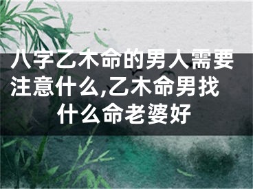八字乙木命的男人需要注意什么,乙木命男找什么命老婆好