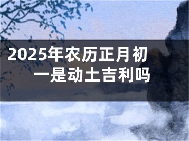 2025年农历正月初一是动土吉利吗