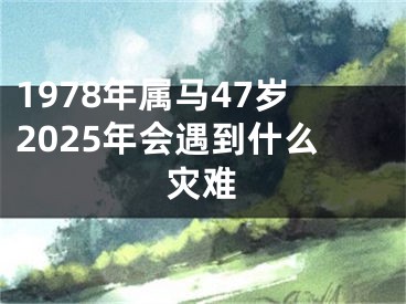 1978年属马47岁2025年会遇到什么灾难
