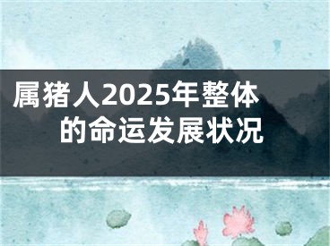 属猪人2025年整体的命运发展状况
