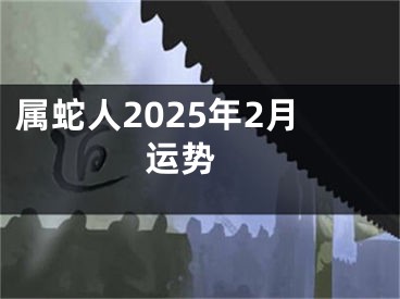 属蛇人2025年2月运势 