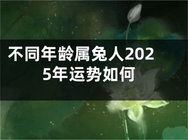 不同年龄属兔人2025年运势如何