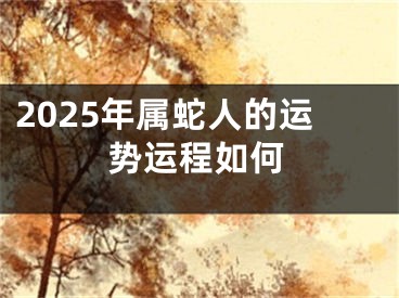 2025年属蛇人的运势运程如何