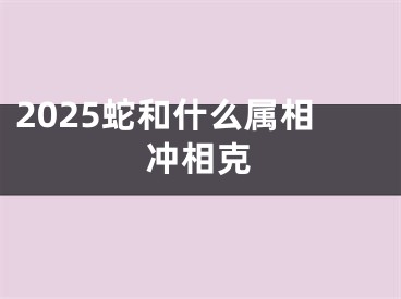 2025蛇和什么属相冲相克