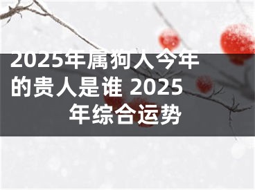 2025年属狗人今年的贵人是谁 2025年综合运势