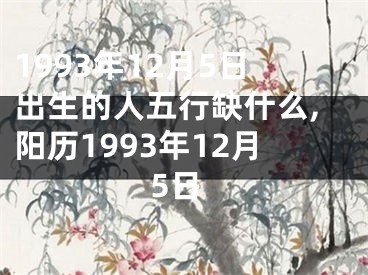 1993年12月5日出生的人五行缺什么,阳历1993年12月5日