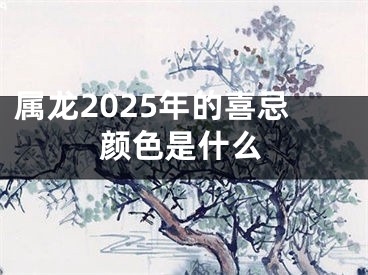属龙2025年的喜忌颜色是什么