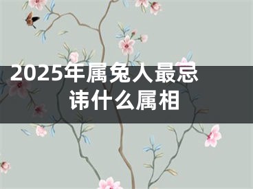 2025年属兔人最忌讳什么属相