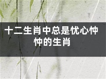十二生肖中总是忧心忡忡的生肖