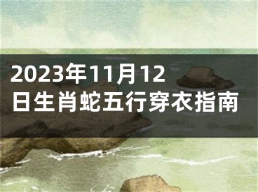 2023年11月12日生肖蛇五行穿衣指南