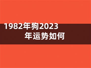 1982年狗2023年运势如何