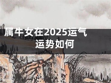 属牛女在2025运气运势如何