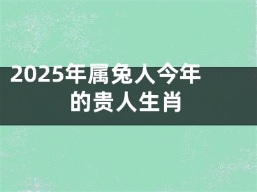 2025年属兔人今年的贵人生肖