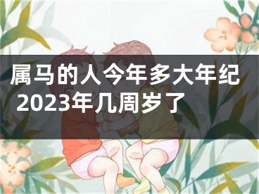 属马的人今年多大年纪 2023年几周岁了