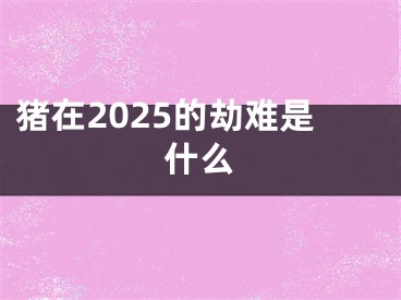 猪在2025的劫难是什么