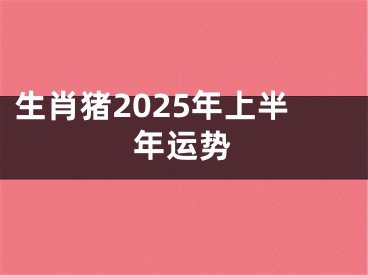 生肖猪2025年上半年运势
