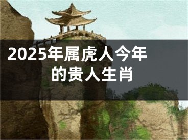 2025年属虎人今年的贵人生肖
