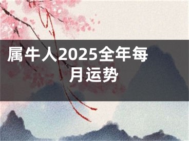 属牛人2025全年每月运势