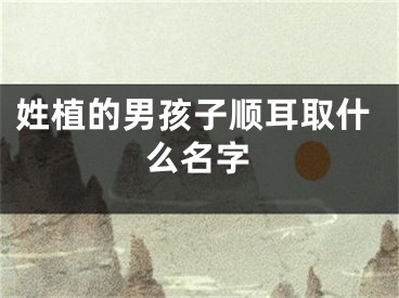 姓植的男孩子顺耳取什么名字