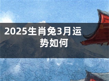 2025生肖兔3月运势如何