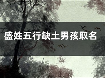 盛姓五行缺土男孩取名