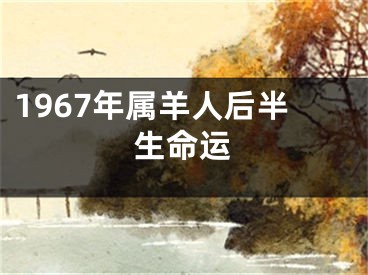 1967年属羊人后半生命运