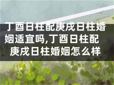 丁酉日柱配庚戌日柱婚姻适宜吗,丁酉日柱配庚戌日柱婚姻怎么样