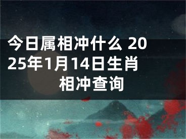 今日属相冲什么 2025年1月14日生肖相冲查询