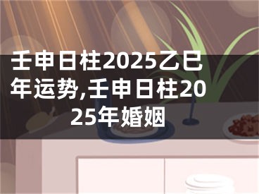 壬申日柱2025乙巳年运势,壬申日柱2025年婚姻