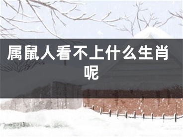 属鼠人看不上什么生肖呢