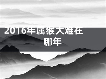 2016年属猴大难在哪年